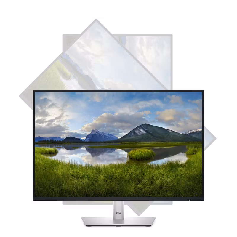 Dell P2425 24" IPS 1920 x 1200 (WUXGA) VGA LCD Black