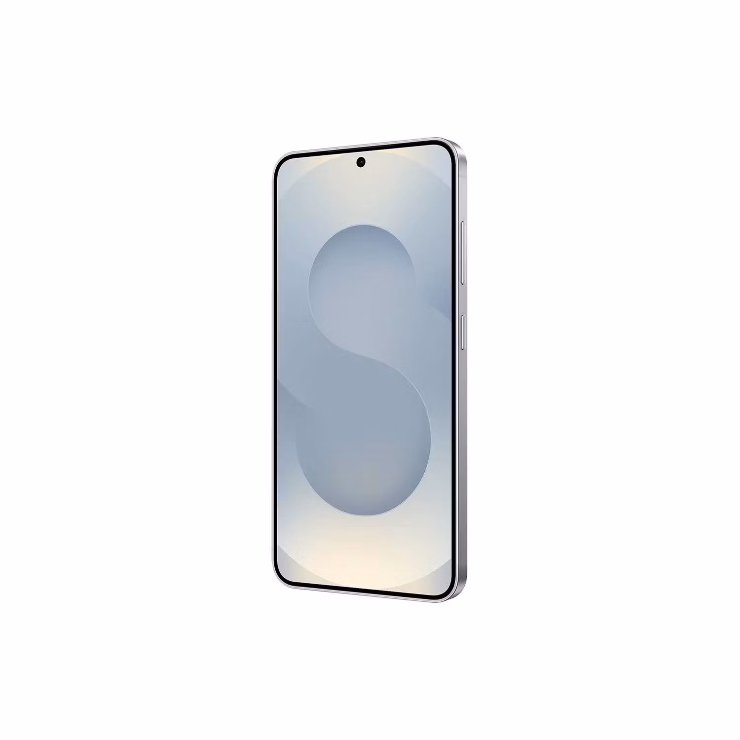 Samsung Galaxy S25 5G Enterprise Edition 12GB 128GB Silver