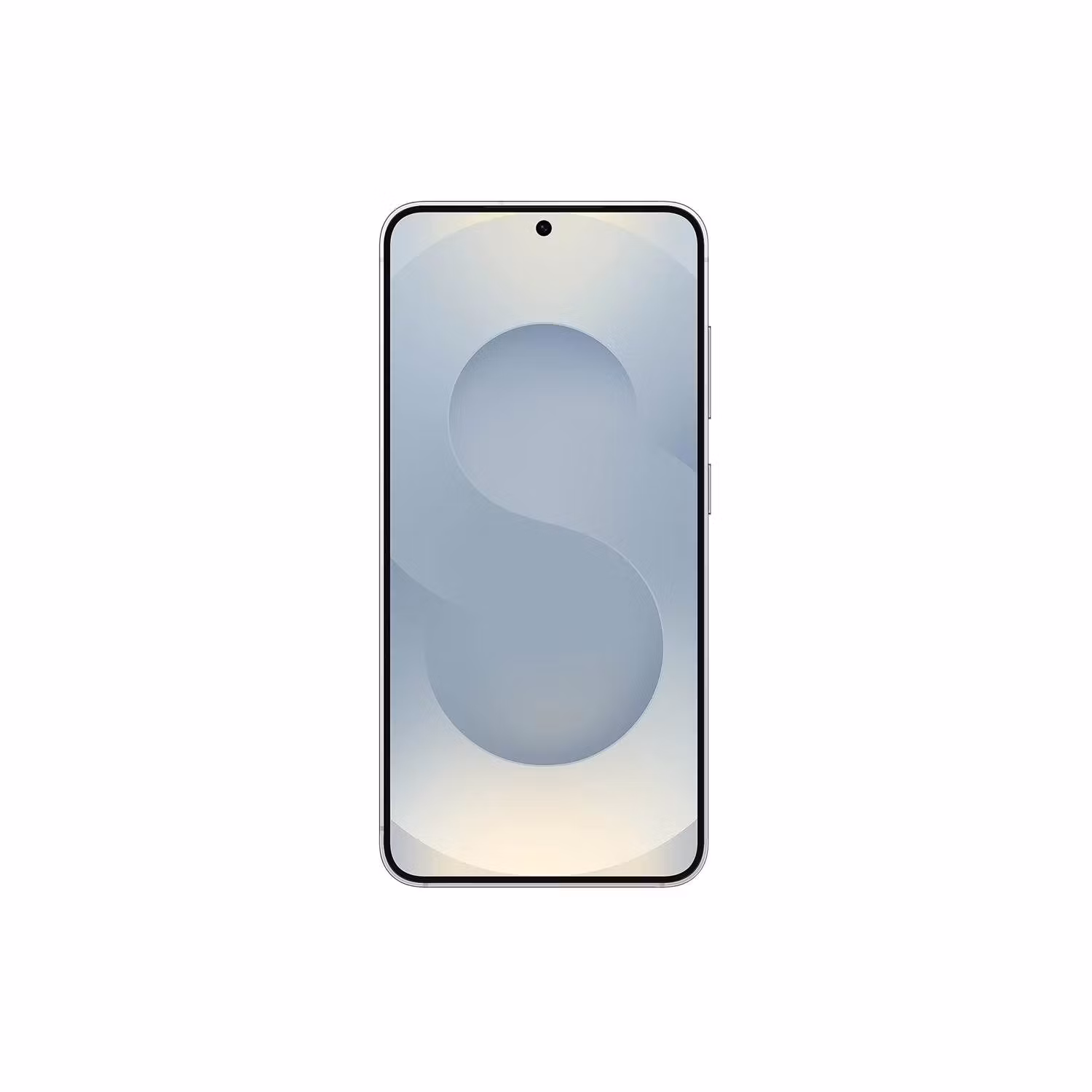 Samsung Galaxy S25 5G Enterprise Edition 12GB 128GB Silver