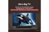 LG 55UA73003LA 55" 4K UHD AI Smart TV