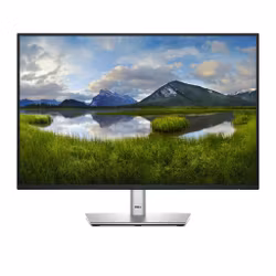 Dell P2425 24" 1920 x 1200 pixels WUXGA LCD Black Monitor