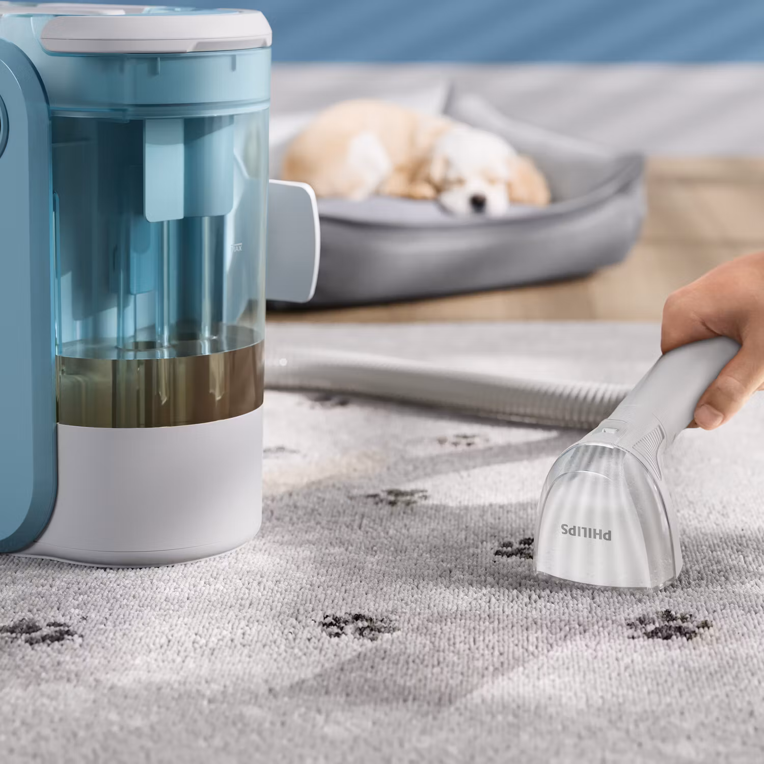 Philips 3000 series XW3193/11 Wet 400 W Mattrengörare