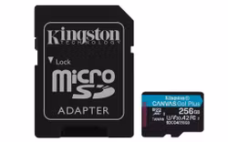Kingston Canvas Go! Plus microSDXC UHS-I Minneskort 256GB 200MB/s