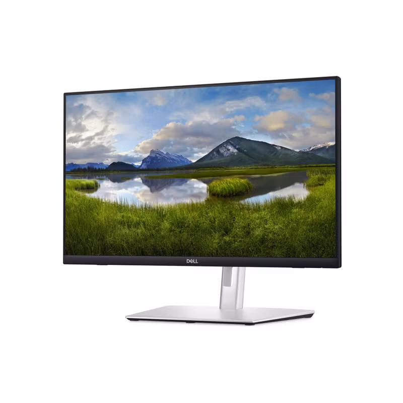 Dell P2424HT 24" IPS 1920 x 1080 pixels Full HD LCD Touchscreen Black, Silver
