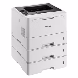 Brother HL-L5210DNTT laserskrivare 1200 x 1200 DPI A4