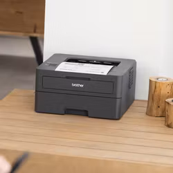 Brother HL-L2400DWE laserskrivare 1200 x 1200 DPI A4 Wi‑Fi