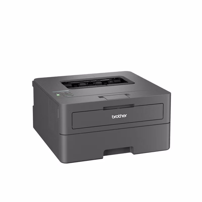 Brother HL-L2400DW laserskrivare 1200 x 1200 DPI A4 Wi‑Fi