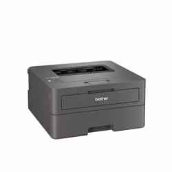 Brother HL-L2445DW trådlös laserskrivare