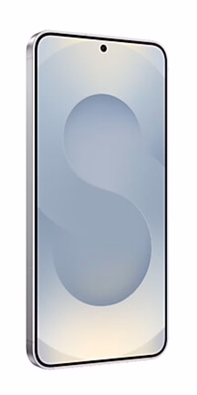 Samsung Galaxy S25 Enterprise Edition 15,8 cm (6,2") Dual SIM Android 15 5G USB Type-C 12 GB 128 GB 4000 mAh Silver