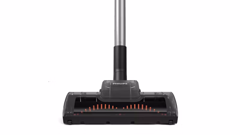 Philips 8000 series XD8152/12 dammsugare 4 L cylinderdammsugare torr 900 W dammpåse