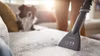 Philips 5000 series XD5122/10 dammsugare 4 L cylinderdammsugare torr 900 W dammpåse
