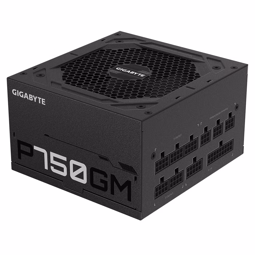 GIGABYTE P750GM nätaggregat 750 W 20+4 pin ATX ATX svart