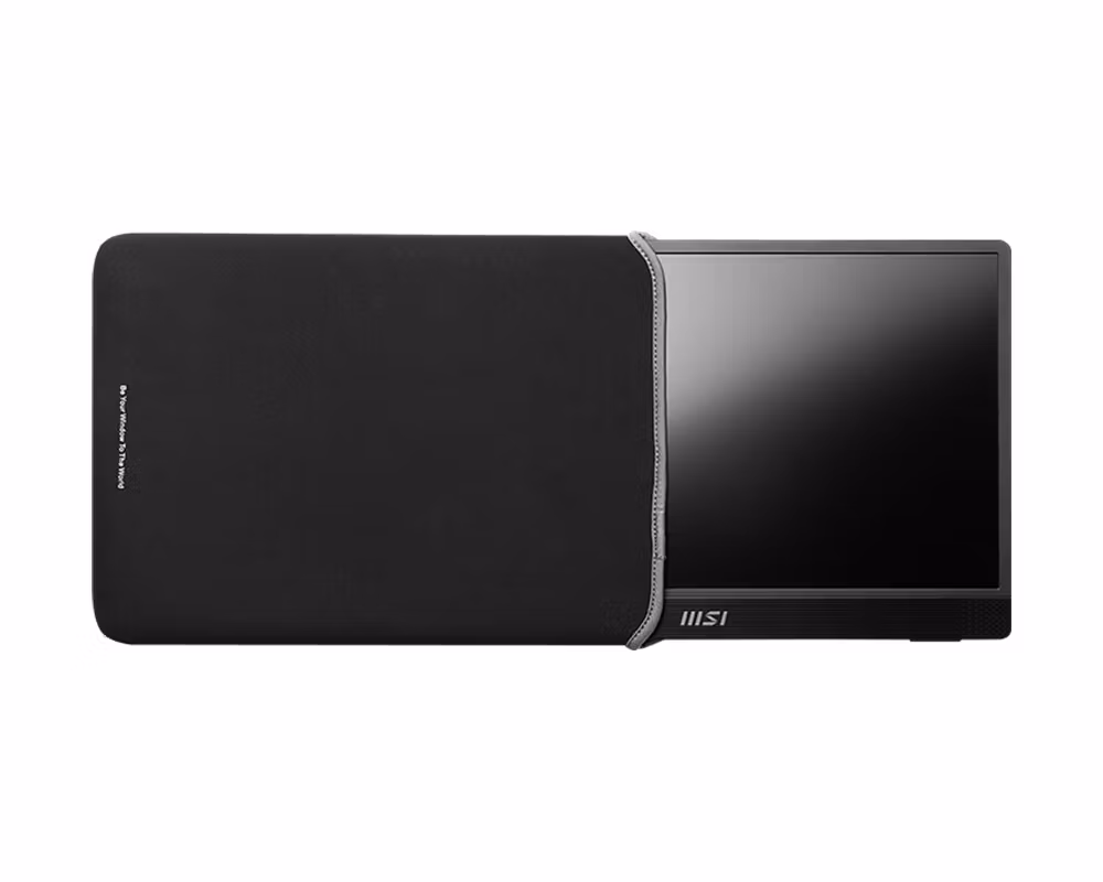 MSI PRO MP161DE E2 datorskärm 39,6 cm (15,6") 1920 x 1080 pixlar Full HD LED Svart