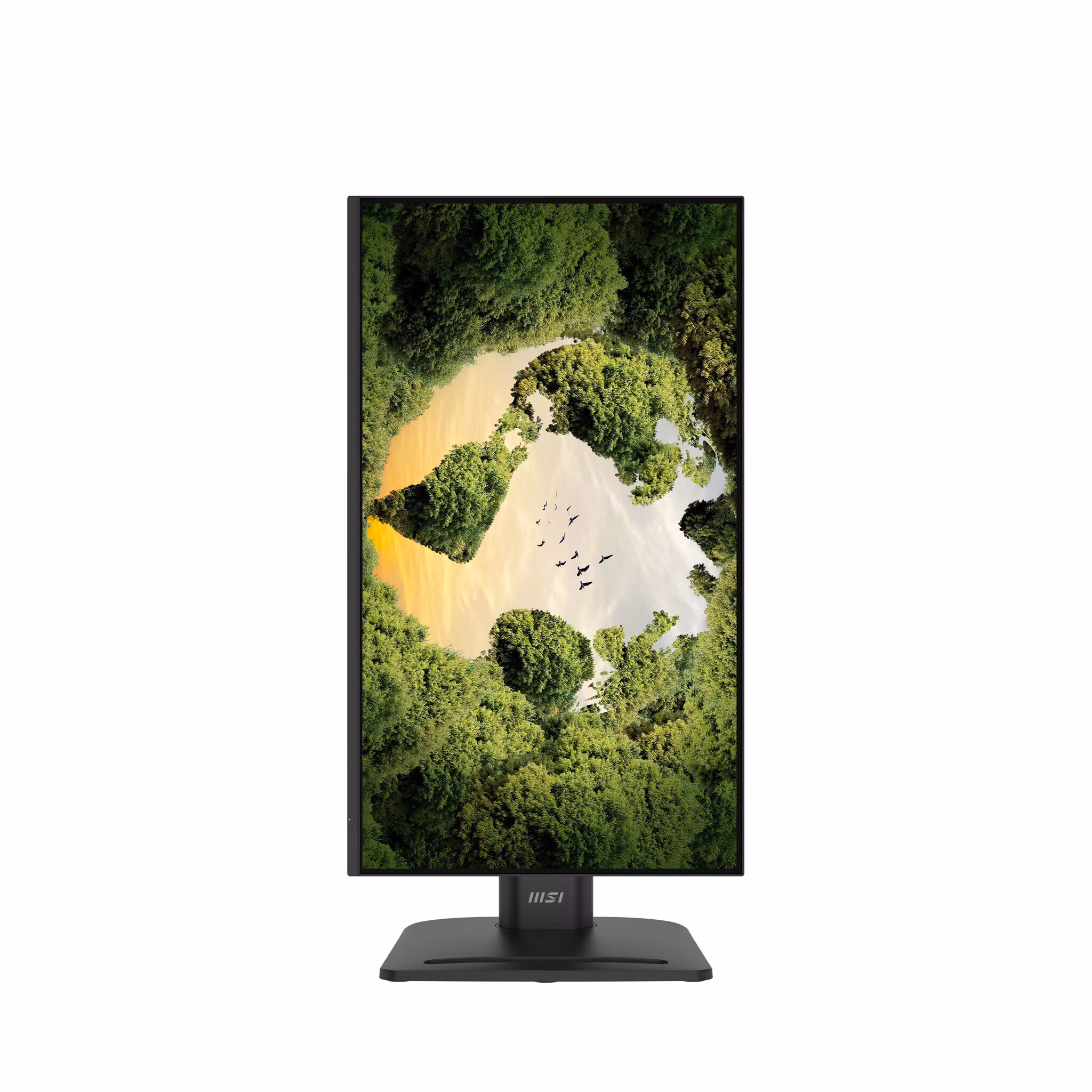 MSI Pro MP245PGN E14 bildskärm 60,5 cm (23,8") 1920 x 1080 pixlar Full HD LCD Svart