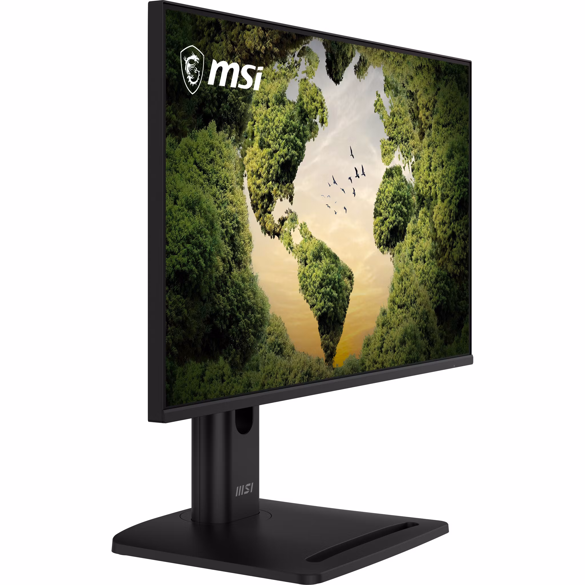 MSI Pro MP245PGN E14 bildskärm 60,5 cm (23,8") 1920 x 1080 pixlar Full HD LCD Svart