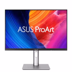 ASUS ProArt PA248QFV bildskärm 61,2 cm (24,1") 1920 x 1200 pixlar WUXGA LCD Silver