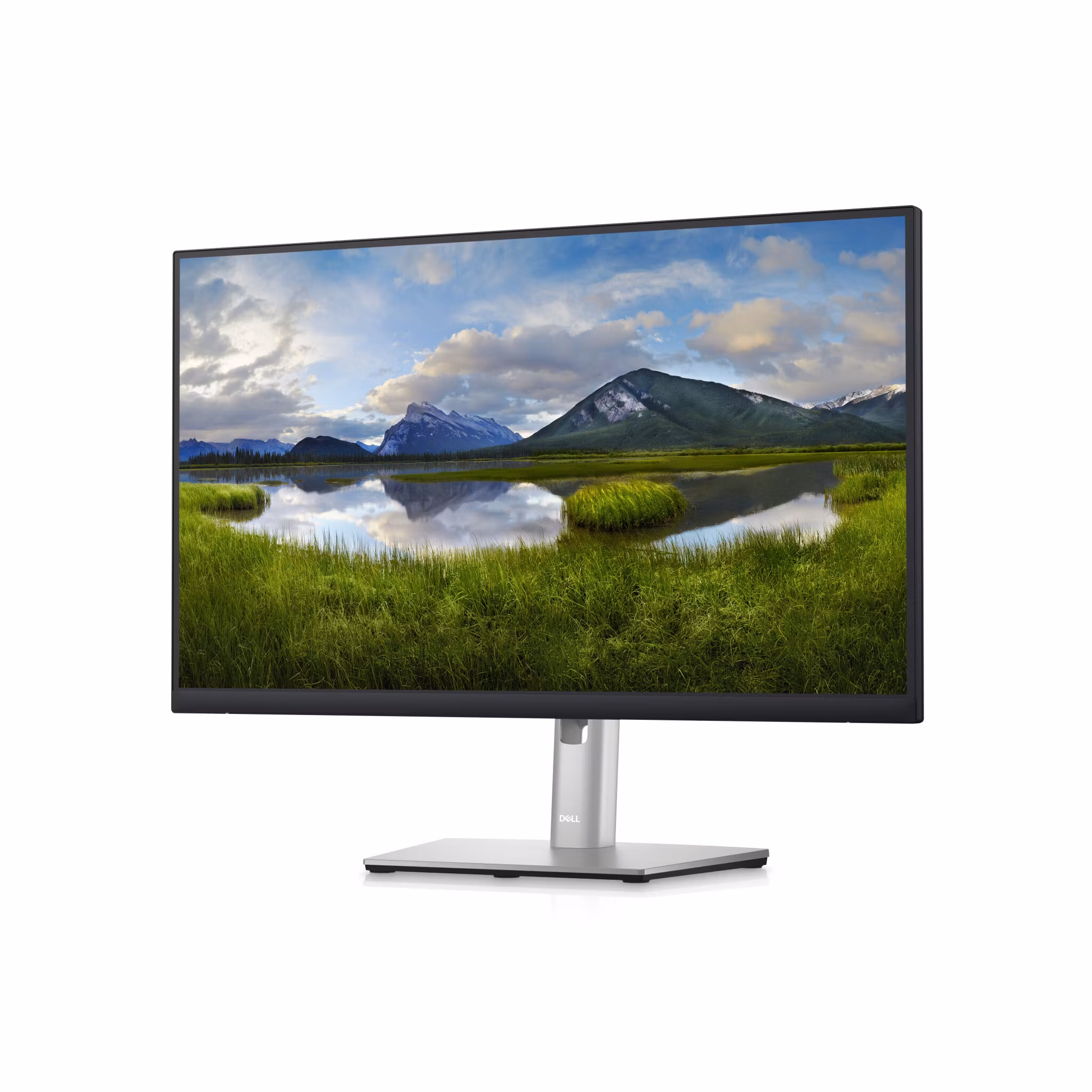 DELL P Series 24 USB-C Hub Monitor - P2423DE