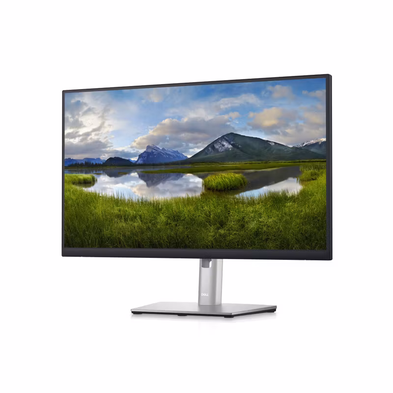 DELL P Series 24 USB-C Hub Monitor - P2423DE