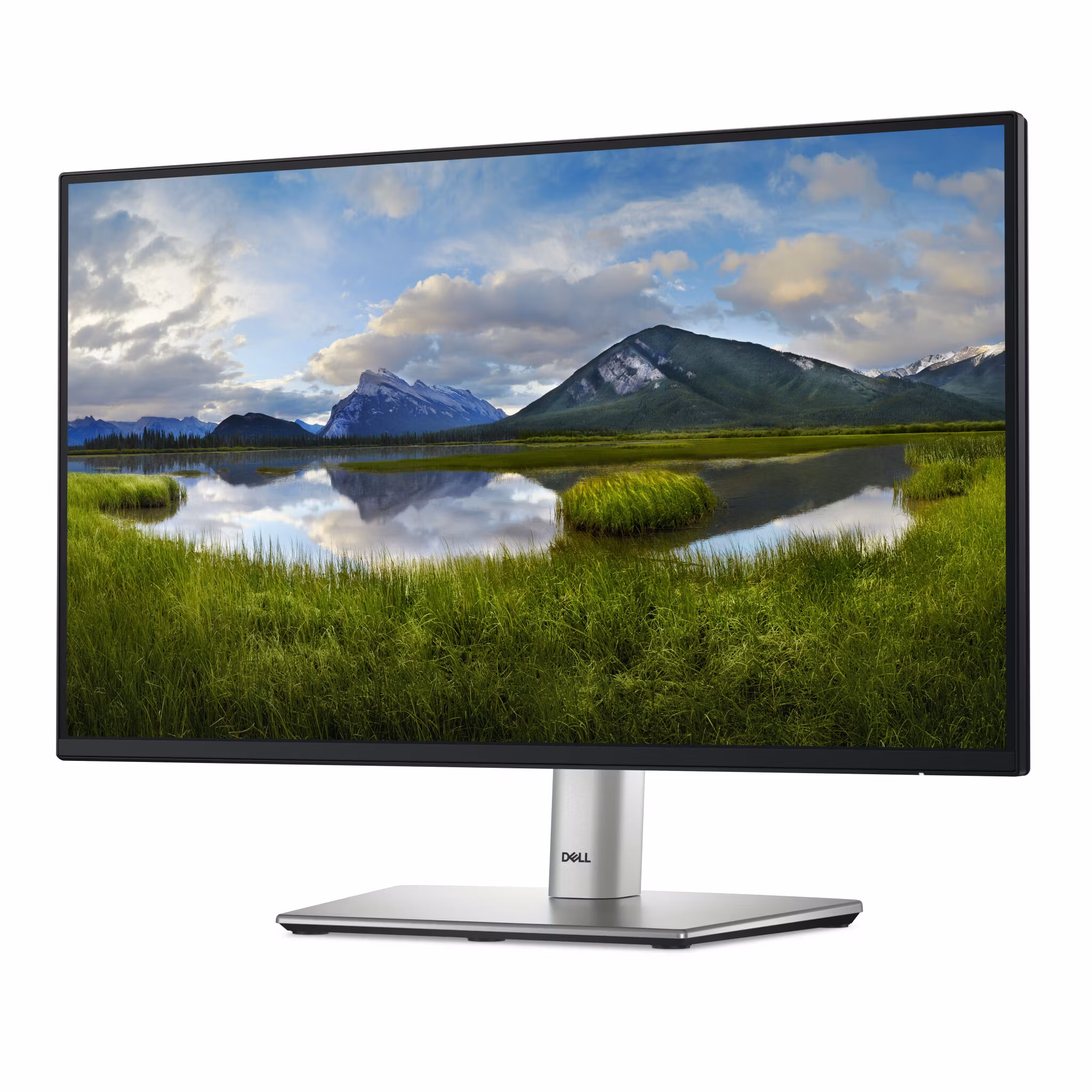 DELL P Series P2225H bildskärm 54,6 cm (21,5") 1920 x 1080 pixlar Full HD LCD svart, silver