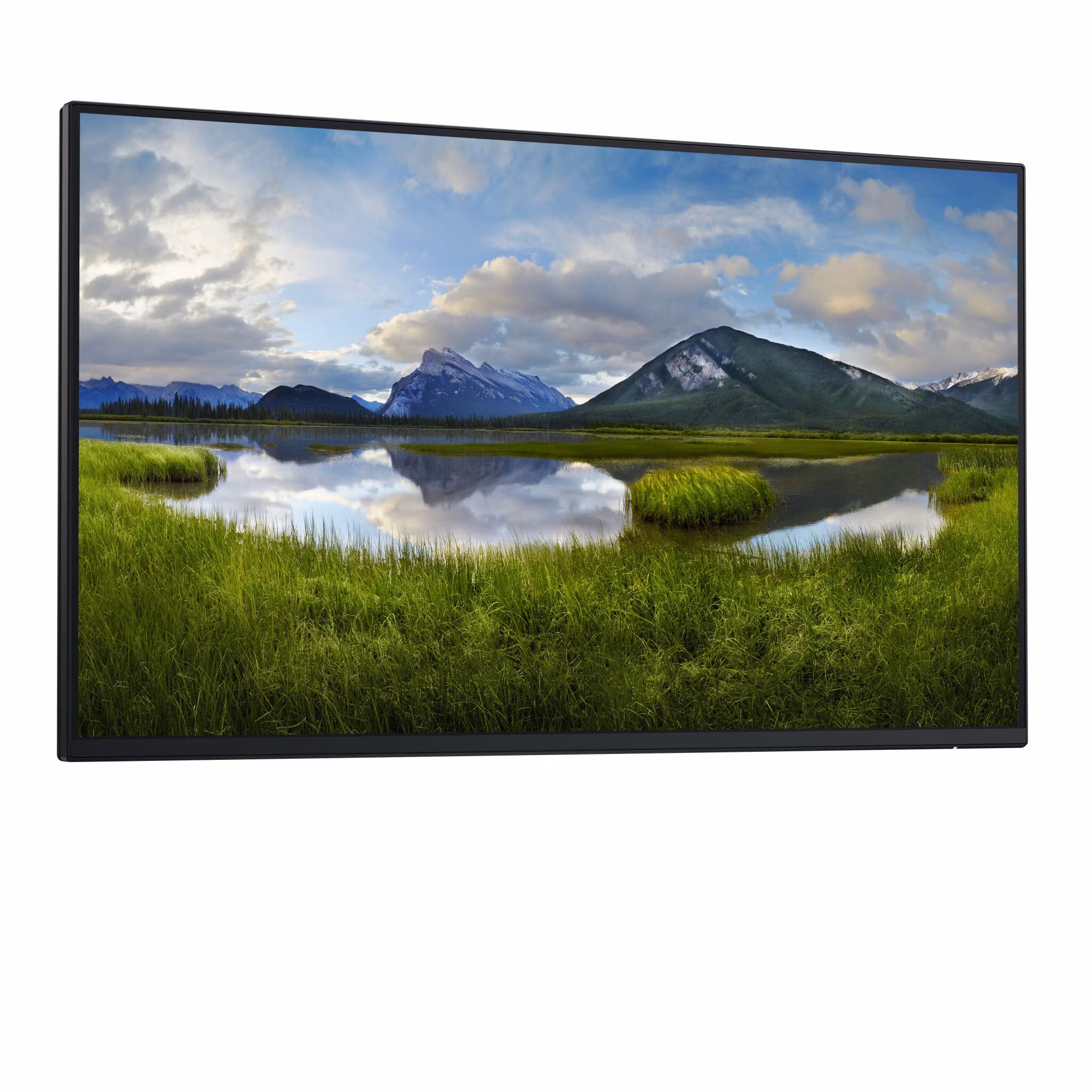 DELL Pro Plus P2425HE_WOST bildskärm 61 cm (24") 1920 x 1080 pixlar Full HD LCD Svart