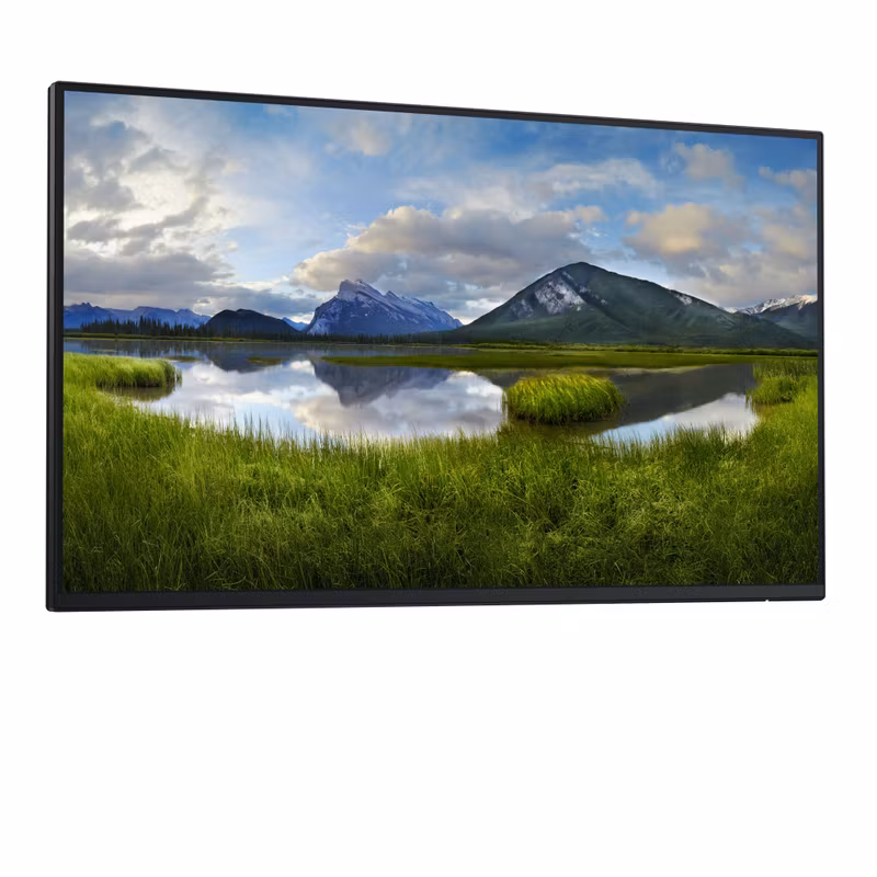 DELL Pro Plus P2425HE_WOST bildskärm 61 cm (24") 1920 x 1080 pixlar Full HD LCD Svart