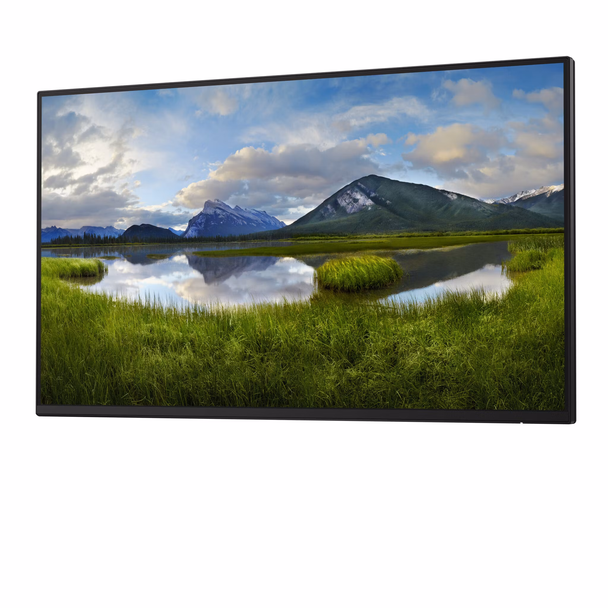 DELL Pro Plus P2425HE_WOST bildskärm 61 cm (24") 1920 x 1080 pixlar Full HD LCD Svart