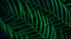 Philips 5000 series 27B2G5601/00 datorskärm 68,6 cm (27") 2560 x 1440 pixlar Quad HD LCD Svart