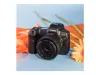 Canon RF 35mm F1.8 Macro IS STM Objektiv