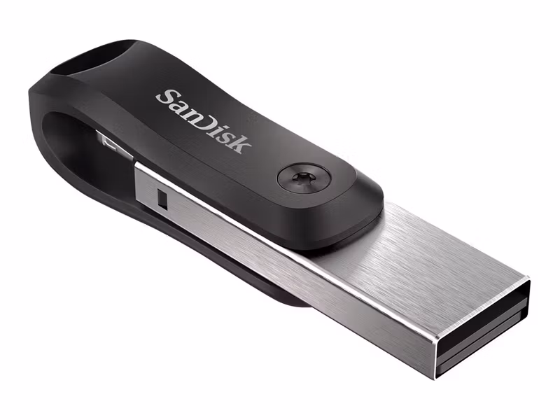 SanDisk iXpand Go 256 GB USB 3.0 Lightning USB-minne Svart Silver
