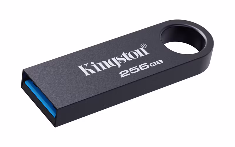 Kingston DataTraveler SE9 G3 256 GB USB 3.2 Gen 1 USB-minne Svart