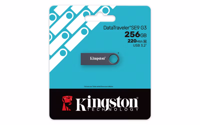 Kingston DataTraveler SE9 G3 256 GB USB 3.2 Gen 1 USB-minne Svart