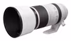 Canon RF 100-500 mm F4.5-7.1 L IS USM Teleobjektiv