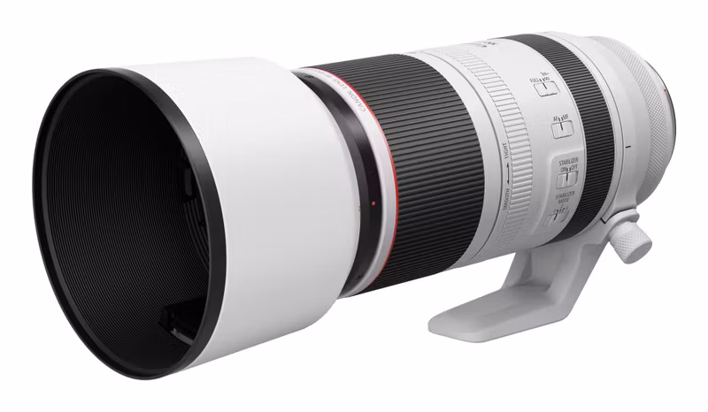 Canon RF 100-500 mm F4.5-7.1 L IS USM Teleobjektiv