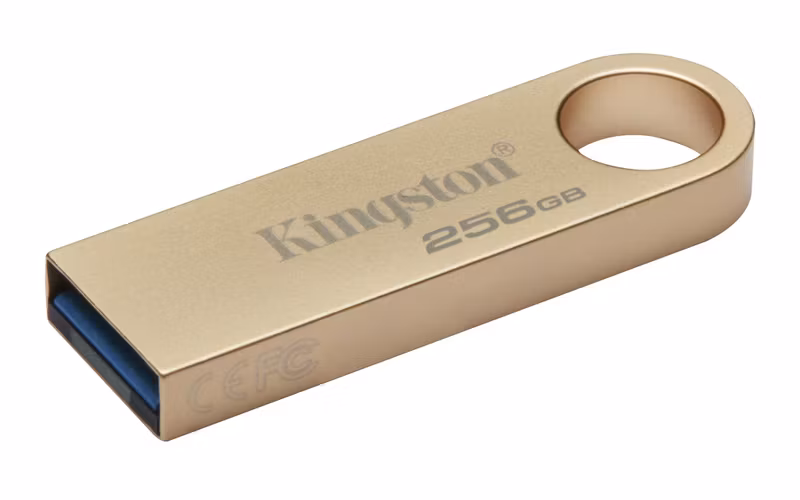 Kingston DataTraveler SE9 G3 256 GB USB 3.2 Gen 1 USB-minne Guld
