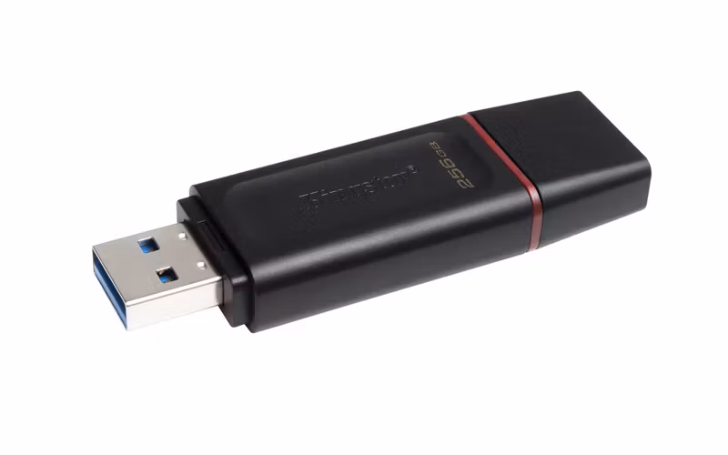 Kingston DataTraveler Exodia 256 GB USB 3.2 Gen 1 USB-minne Svart/Rosa