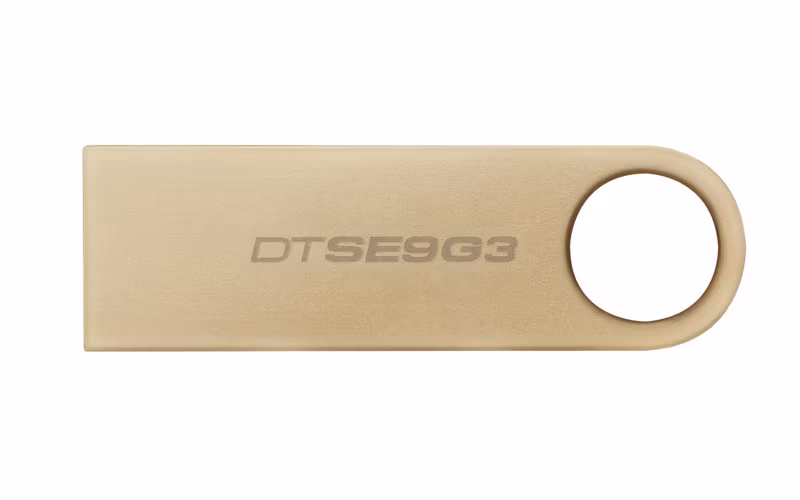 Kingston DataTraveler SE9 G3 256 GB USB 3.2 Gen 1 USB-minne Guld