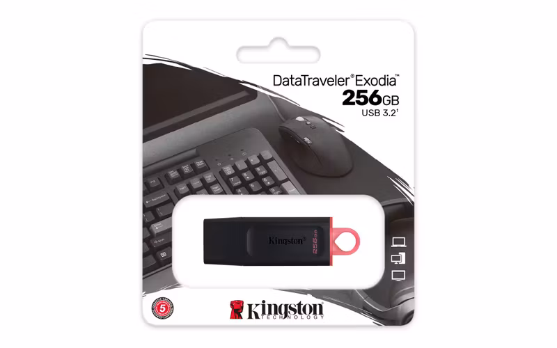 Kingston DataTraveler Exodia 256 GB USB 3.2 Gen 1 USB-minne Svart/Rosa