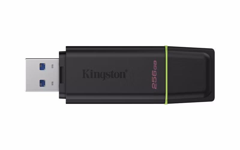 Kingston DataTraveler Exodia DTXG2 256 GB USB 3.2 Gen 1 USB-minne Svart