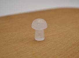 Minisvampar
