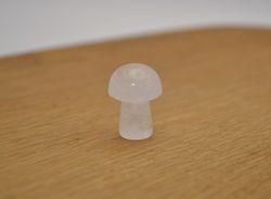Minisvampar