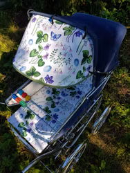 Retrovagndyna