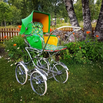 Förbeställd Retrovagndyna