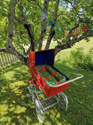 Babynest