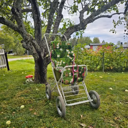 Förbeställd Sulkyklädsel