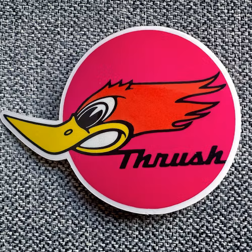 Thrush