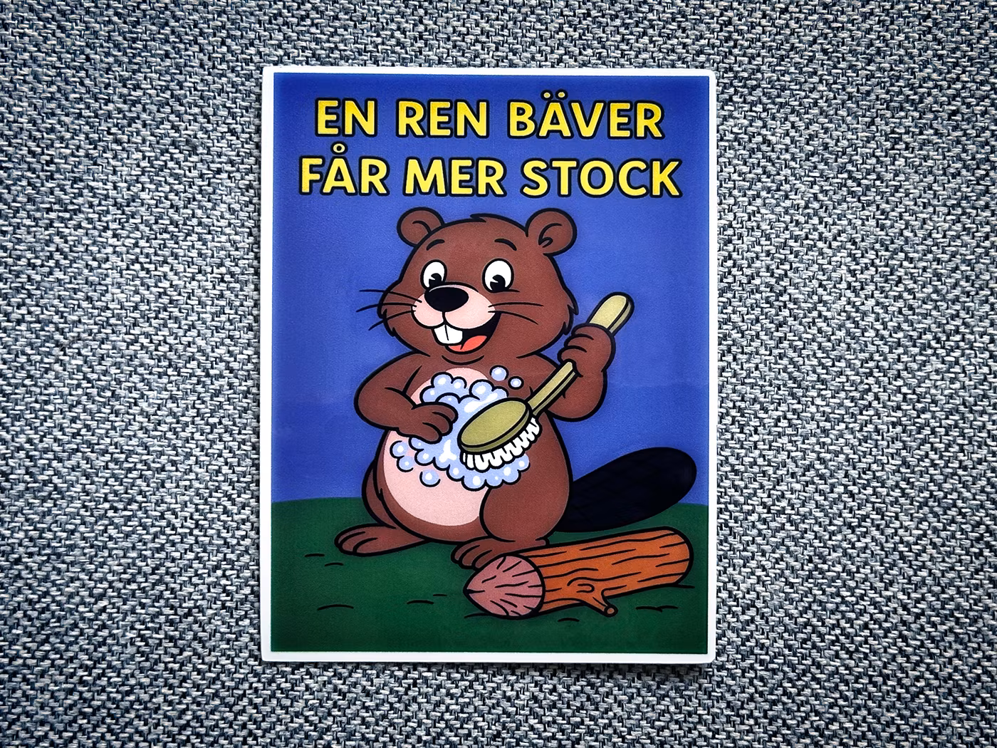 En ren bäver får mer stock