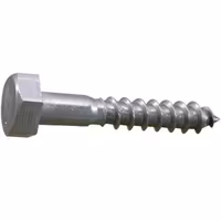 Skruv fransk 8 x 50 a4 DIN 571-4 2st.