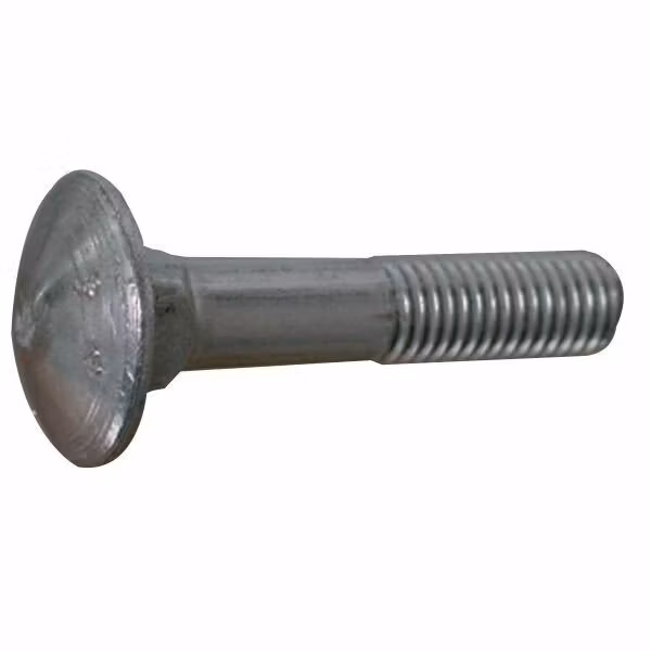 Vagnsbult 6 x 60 a4 DIN 603-4 2st.