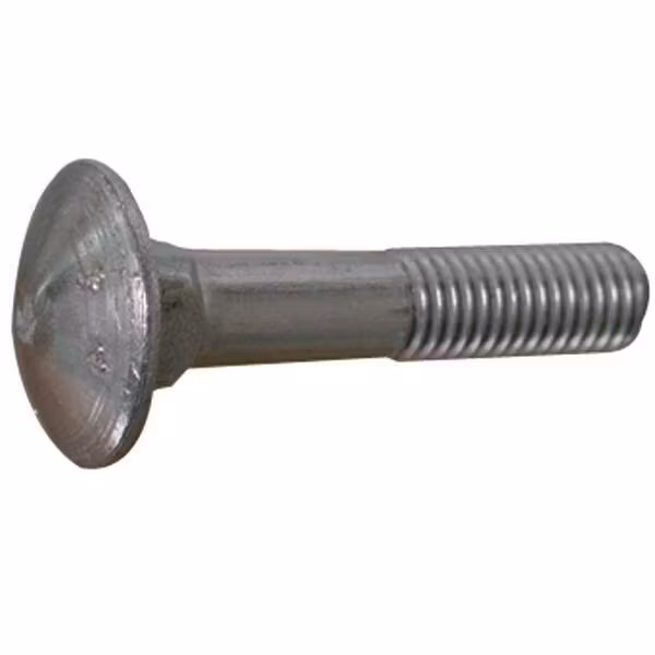 Vagnsbult 10 x 100 A4 DIN 603-4 2st.