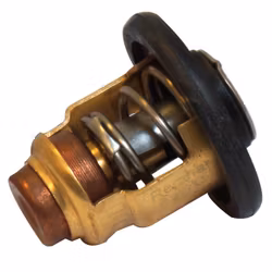 Termostat till Yamaha F25